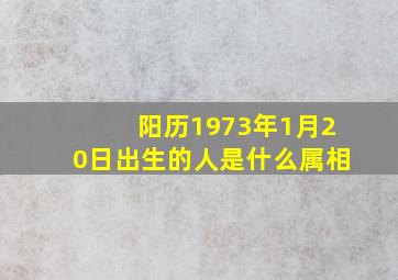 阳历1973年1月20日出生的人是什么属相