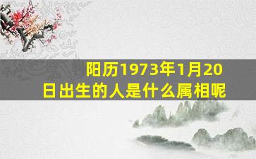 阳历1973年1月20日出生的人是什么属相呢