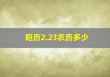 阳历2.23农历多少