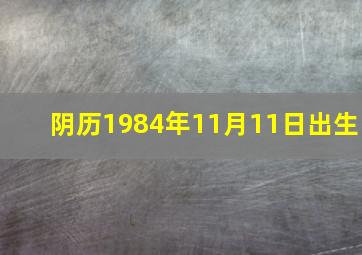 阴历1984年11月11日出生