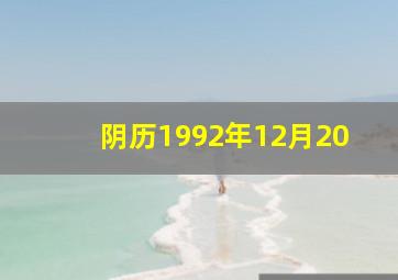 阴历1992年12月20