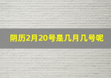 阴历2月20号是几月几号呢