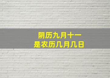 阴历九月十一是农历几月几日