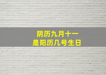 阴历九月十一是阳历几号生日