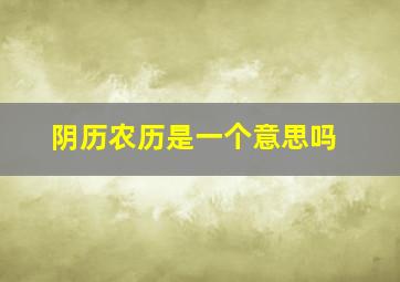 阴历农历是一个意思吗