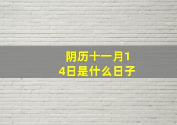 阴历十一月14日是什么日子