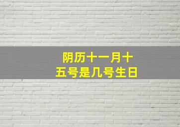 阴历十一月十五号是几号生日