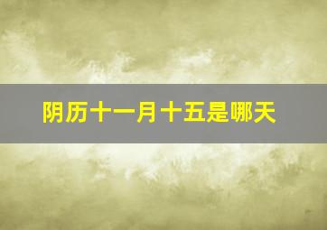 阴历十一月十五是哪天