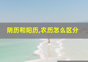 阴历和阳历,农历怎么区分