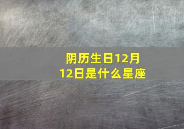 阴历生日12月12日是什么星座