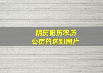 阴历阳历农历公历的区别图片