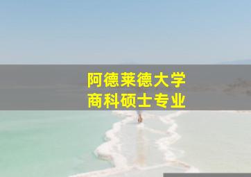 阿德莱德大学商科硕士专业