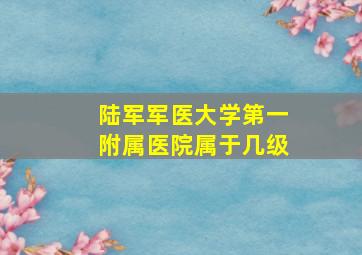 陆军军医大学第一附属医院属于几级