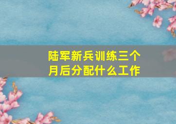 陆军新兵训练三个月后分配什么工作