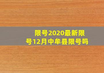 限号2020最新限号12月中牟县限号吗