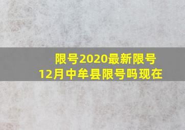 限号2020最新限号12月中牟县限号吗现在