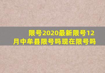 限号2020最新限号12月中牟县限号吗现在限号吗