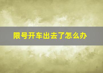 限号开车出去了怎么办