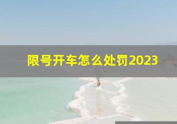 限号开车怎么处罚2023