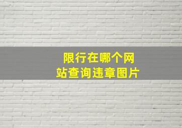 限行在哪个网站查询违章图片