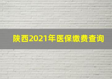 陕西2021年医保缴费查询