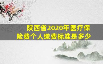 陕西省2020年医疗保险费个人缴费标准是多少