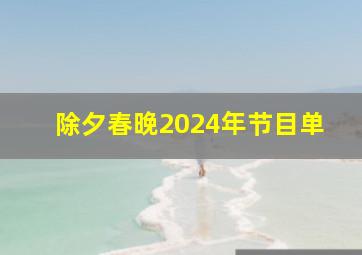 除夕春晚2024年节目单