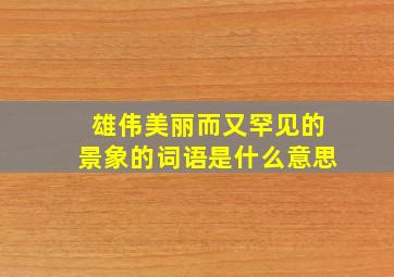 雄伟美丽而又罕见的景象的词语是什么意思