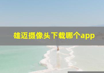 雄迈摄像头下载哪个app