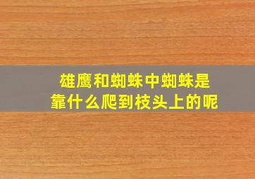 雄鹰和蜘蛛中蜘蛛是靠什么爬到枝头上的呢