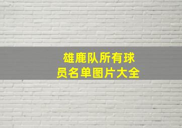 雄鹿队所有球员名单图片大全