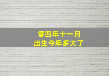 零四年十一月出生今年多大了