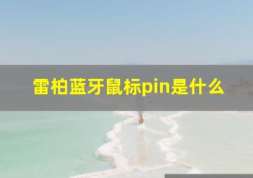 雷柏蓝牙鼠标pin是什么