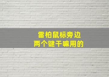 雷柏鼠标旁边两个键干嘛用的