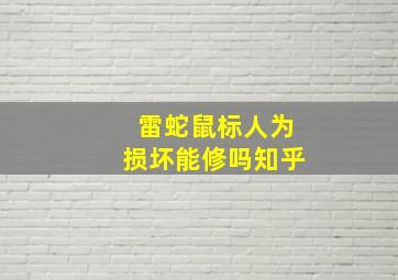 雷蛇鼠标人为损坏能修吗知乎