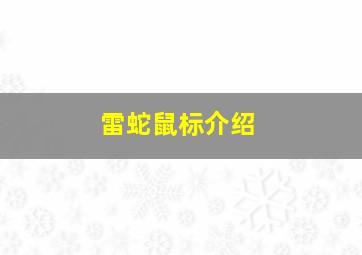 雷蛇鼠标介绍