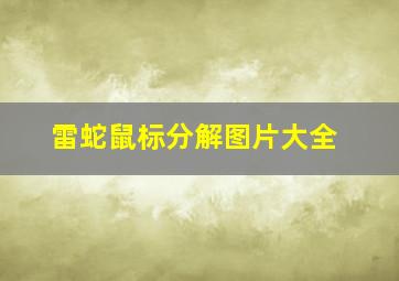 雷蛇鼠标分解图片大全