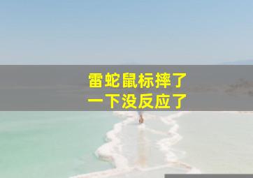 雷蛇鼠标摔了一下没反应了