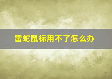 雷蛇鼠标用不了怎么办