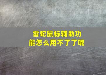 雷蛇鼠标辅助功能怎么用不了了呢