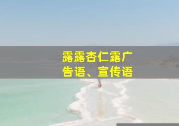 露露杏仁露广告语、宣传语