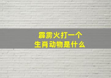 霹雳火打一个生肖动物是什么