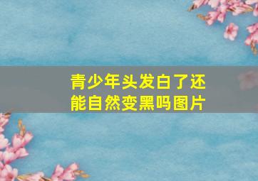 青少年头发白了还能自然变黑吗图片