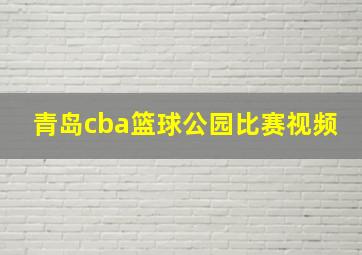 青岛cba篮球公园比赛视频