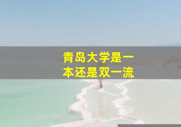 青岛大学是一本还是双一流