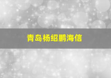 青岛杨绍鹏海信