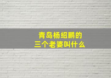 青岛杨绍鹏的三个老婆叫什么