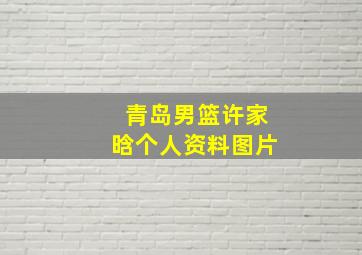 青岛男篮许家晗个人资料图片