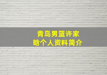 青岛男篮许家晗个人资料简介