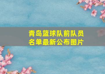 青岛篮球队前队员名单最新公布图片